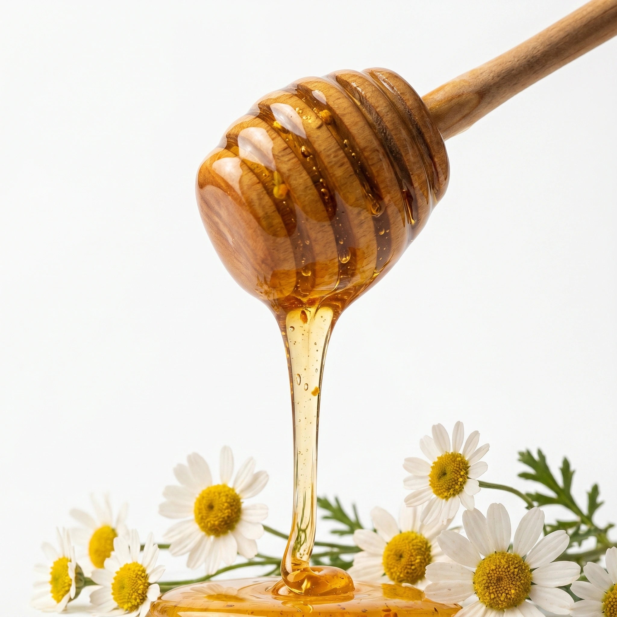 WILDFLOWER HONEY