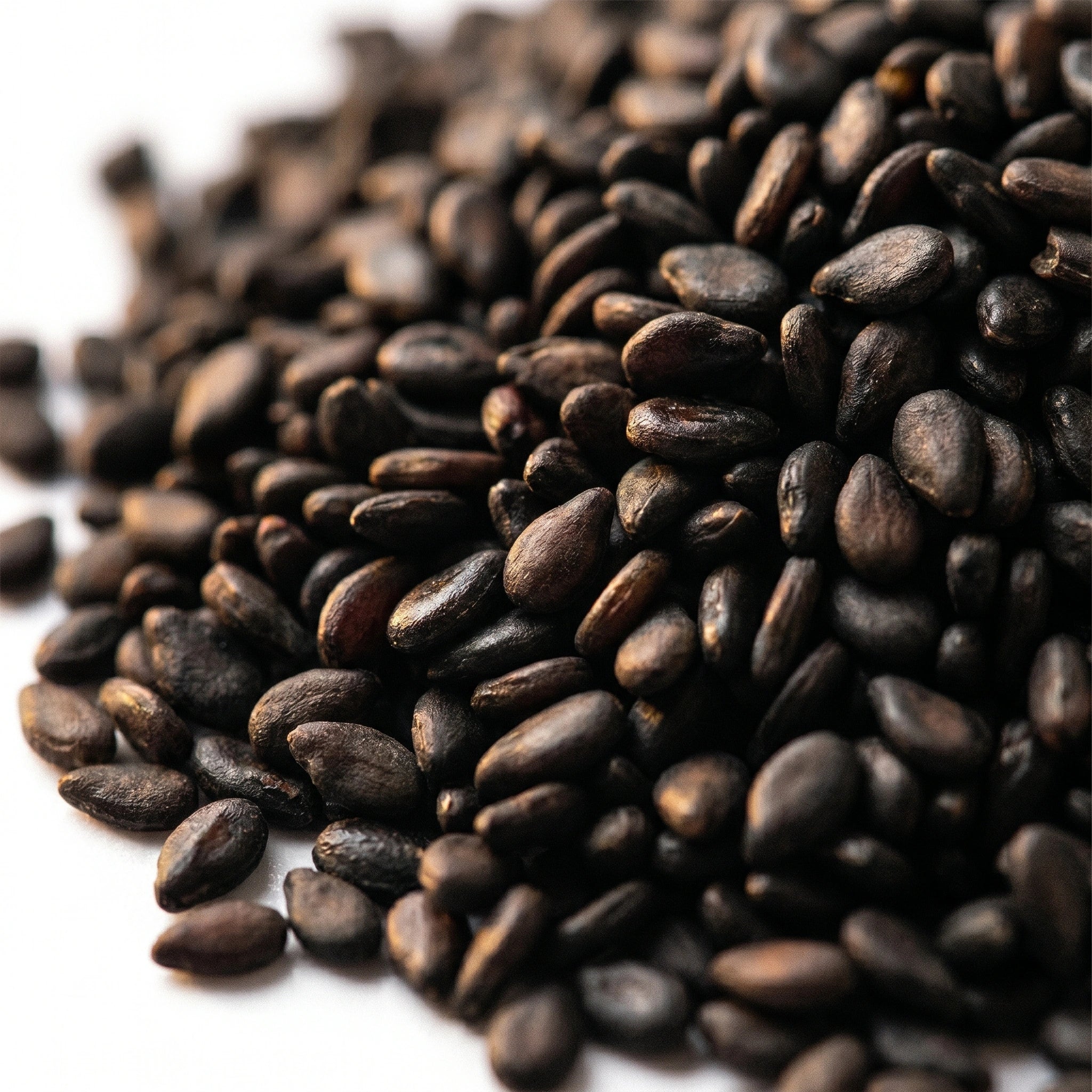BLACK SESAME SEEDS
