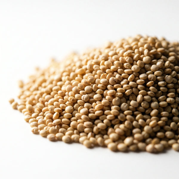 Organic Quinoa Seeds